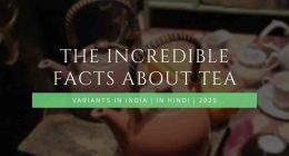 The Incredible Facts About Tea | Variants In India | In Hindi | 2020