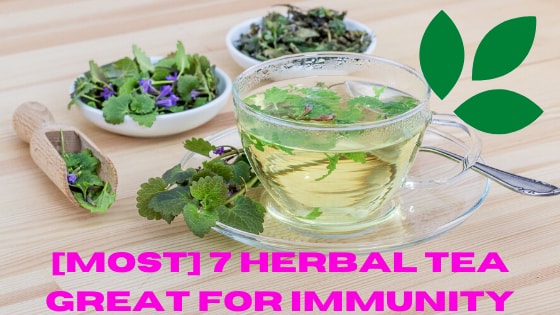 [Most] 7 Herbal Tea Great For Immunity